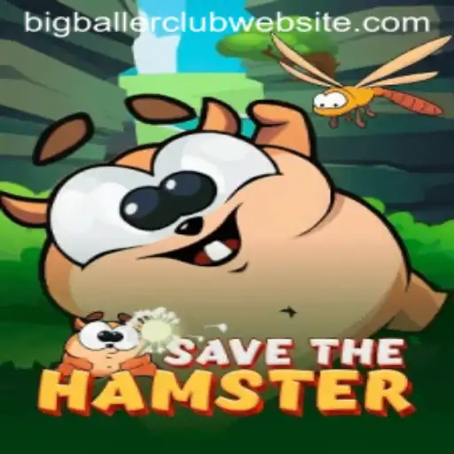 SavetheHamster: A Unique Gaming Adventure with BigBallerClub